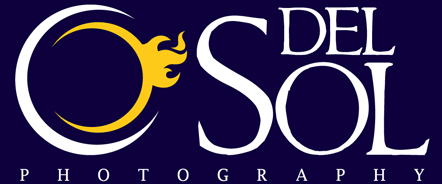 del Sol Logo