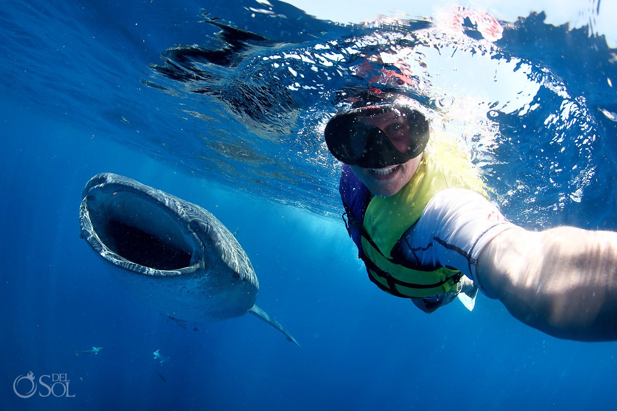 Whale Shark Photography workshop with Matt Adcock from Del Sol Photography