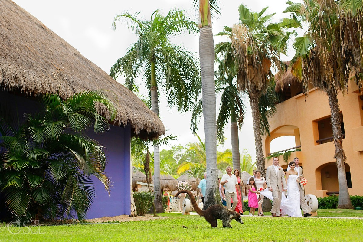 Riviera Maya wedding Iberostar