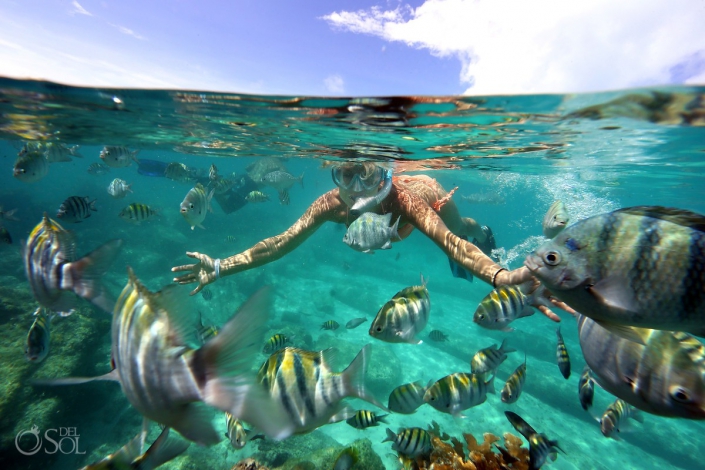 Yes to Mexico vacation Trish Suhr Isla Mujeres #Aworldofitsown Tourist Fish