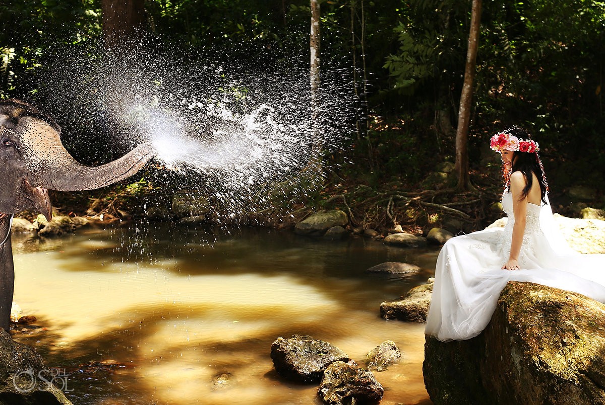 Thailand Trash the Dress photographer Elephant and Waterfall in Koh Samui