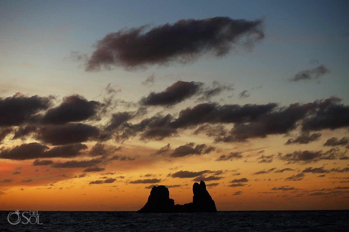 sunset Diving live-aboard Socorro Revillagigedo Islands #aworldofitsown