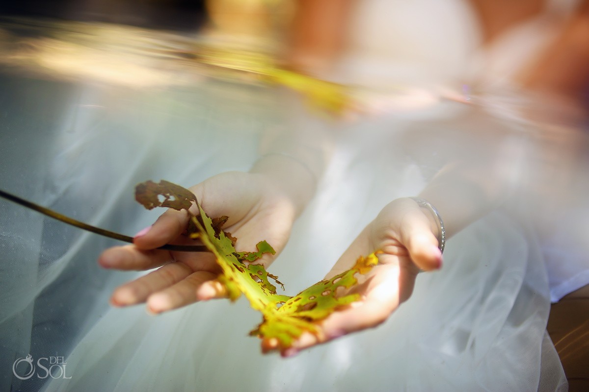 bride underwater photograph holding lily pad leaf