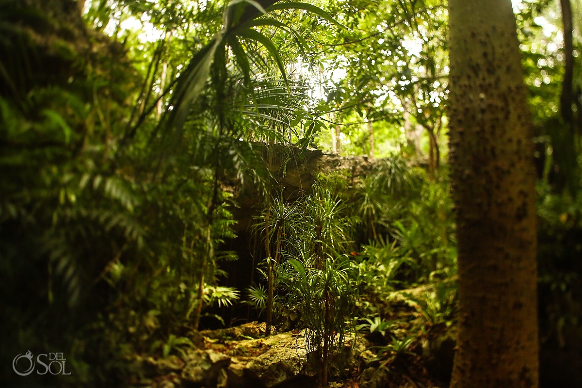Jungle, sacred place, cenote trash the dress, Riviera Maya, Mexico