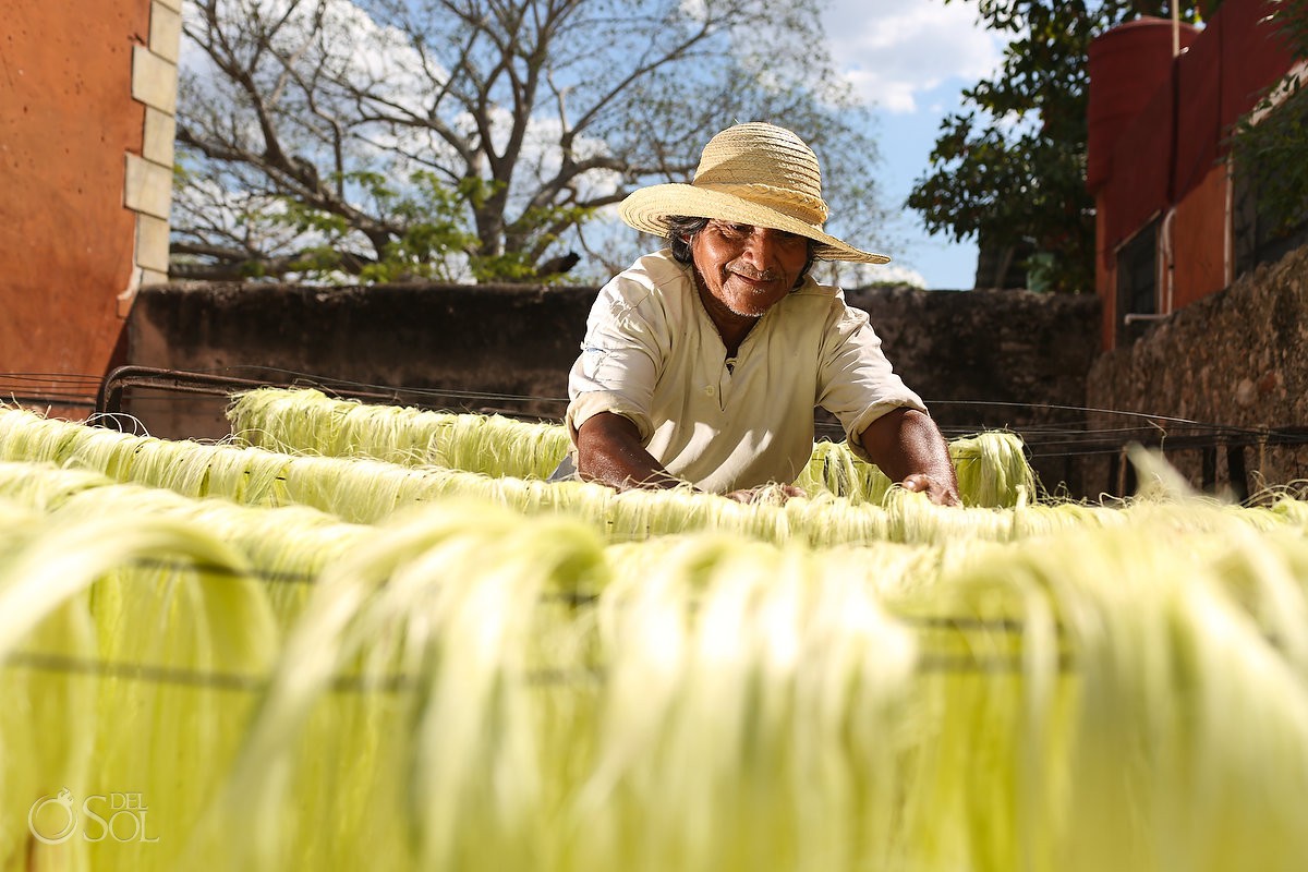 workers prepare henequén - Green Fibre from The Hacienda Sotula de Peon, Yucatan, Mexico #ExperienciasInfinitas