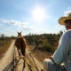 Agave farmer riding donkey wagon as workers prepare henequén - Green Fibre gold from hacienda Sotula de Peon Yucatan Mexico #ExperienciasInfinitas