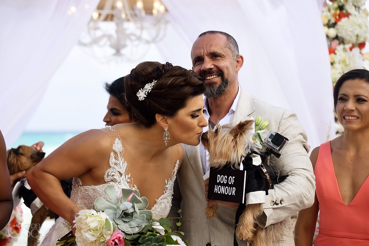 just married dog first kiss Casa Corazon Playa del Carmen, Mexico.