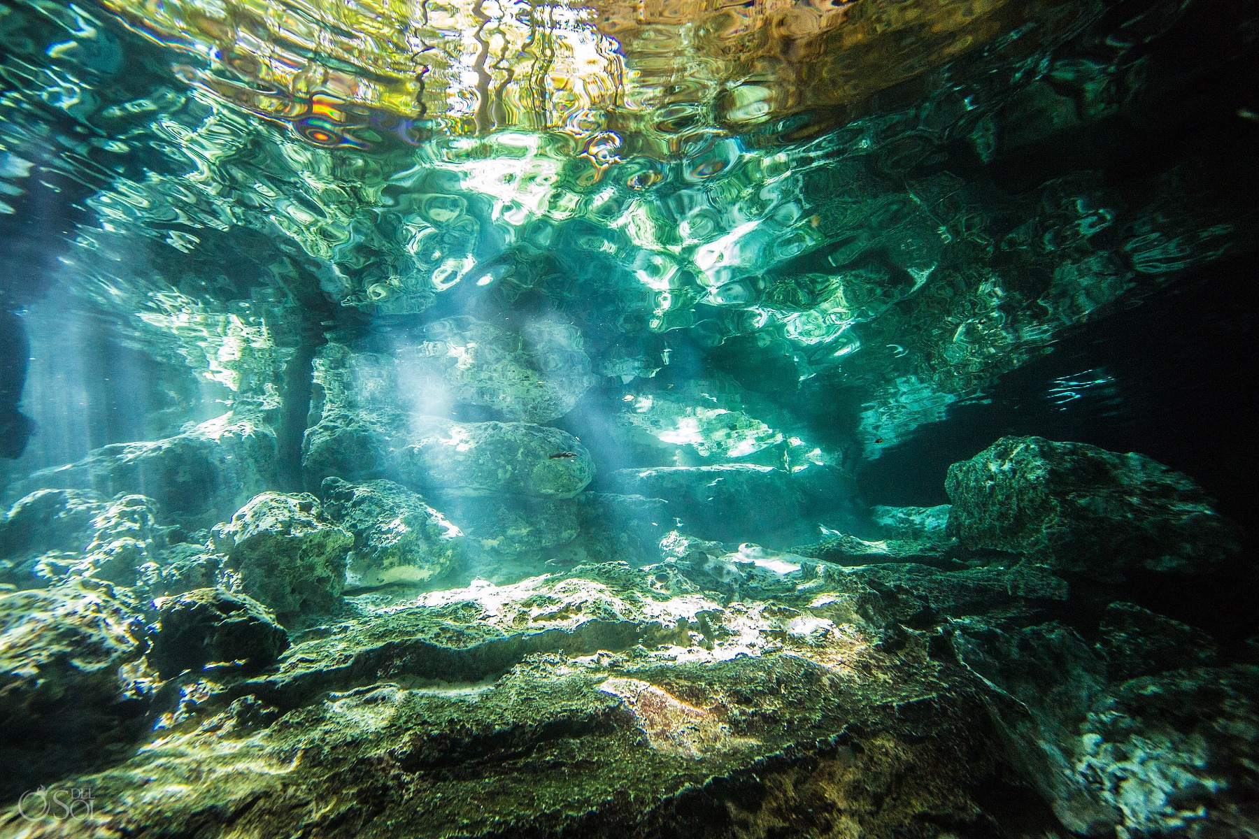 gabriel forestieri underwater dancer fine art photography Cenote Riviera Maya Mexico