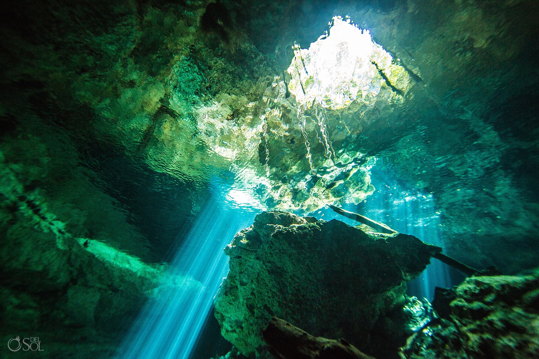 gabriel forestieri innature underwater dancer fine art photography Cenote Riviera Maya Mexico