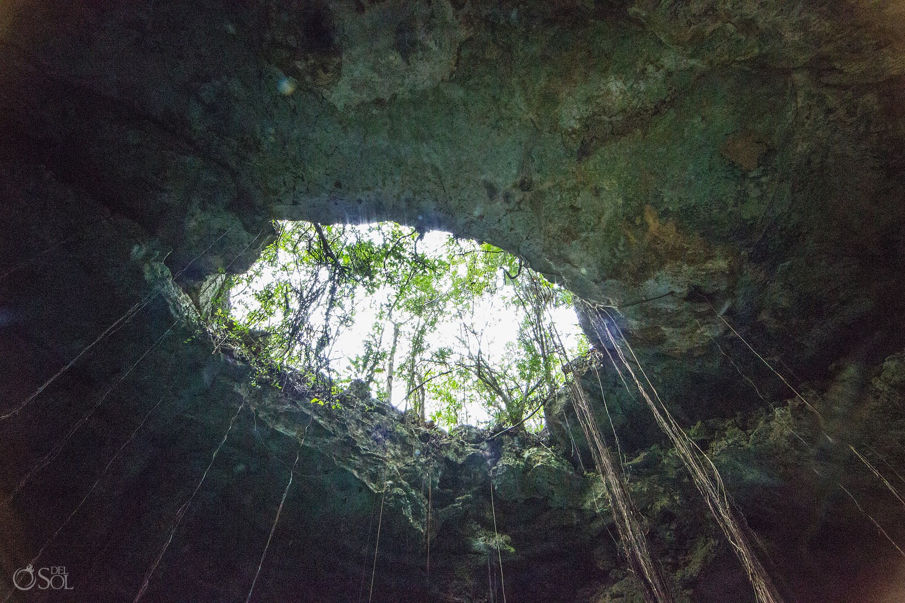fine art photography Cenote Riviera Maya Mexico #Aworldofitsown 