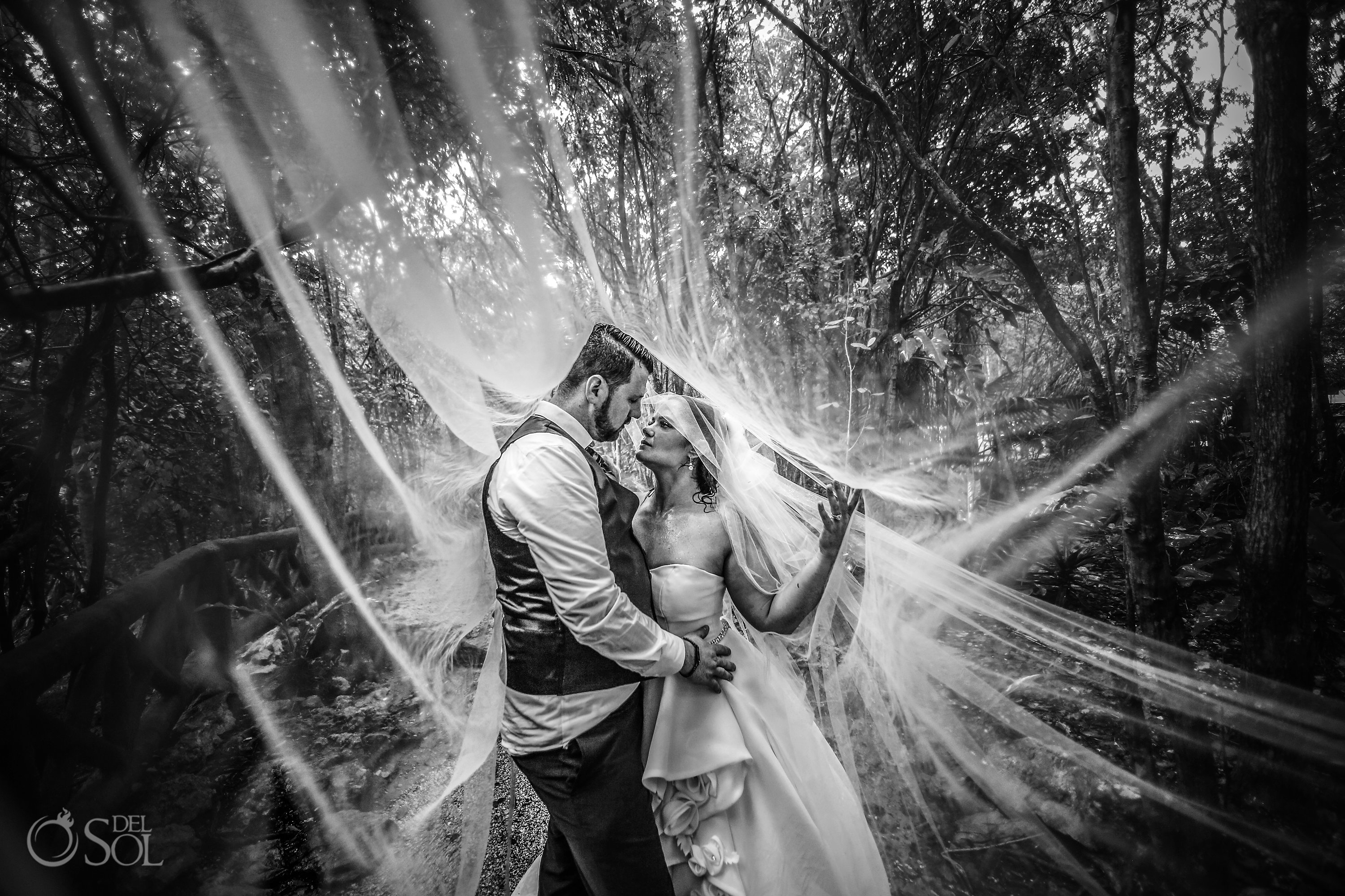 black and white wedding photo with long bridal veil