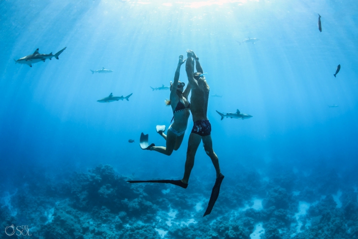 underwater love Tahiti underwater photography freediving with Blacktip reef sharks