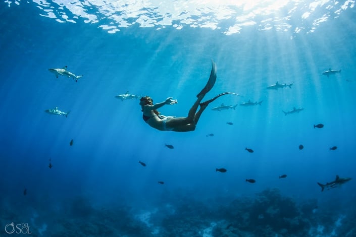 Blacktip reef sharks Beautiful Woman Alone Ocean Supremacy Free Diving Underwater Photography