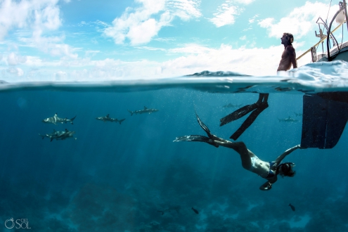 Subaquatic Picture Beloved Freedivers couple with Blacktip Reef Sharks Tahiti Underwater Photography Fine Art