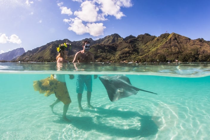 Stingray playin with a Catrina Couple Subaquatic Picture clear magic water Lovely moment Tahiti Mountains