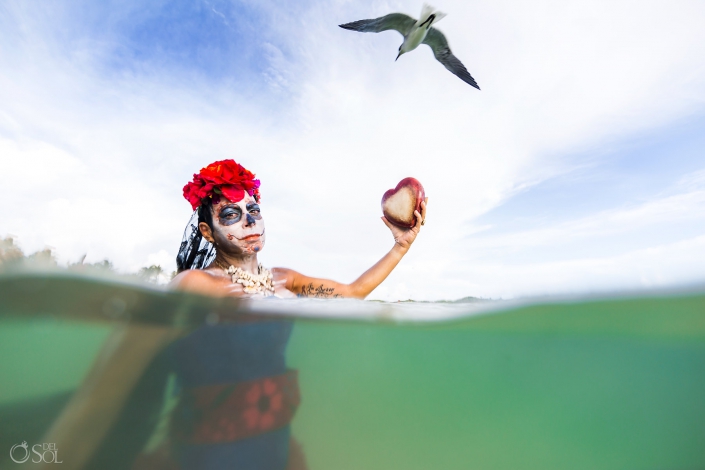 Underwater Photography Subaquatic Photo Catrina Makeup Red Flower Arrangement Seagull flight