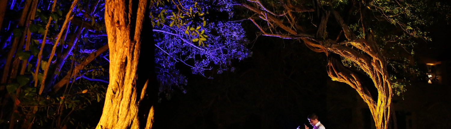 Night portrait bride and groom surrounded by illuminated trees Iberostar Paraiso del Mar Wedding