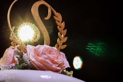 Del Sol Photography Wedding Cake Natural Pink Roses lights effects