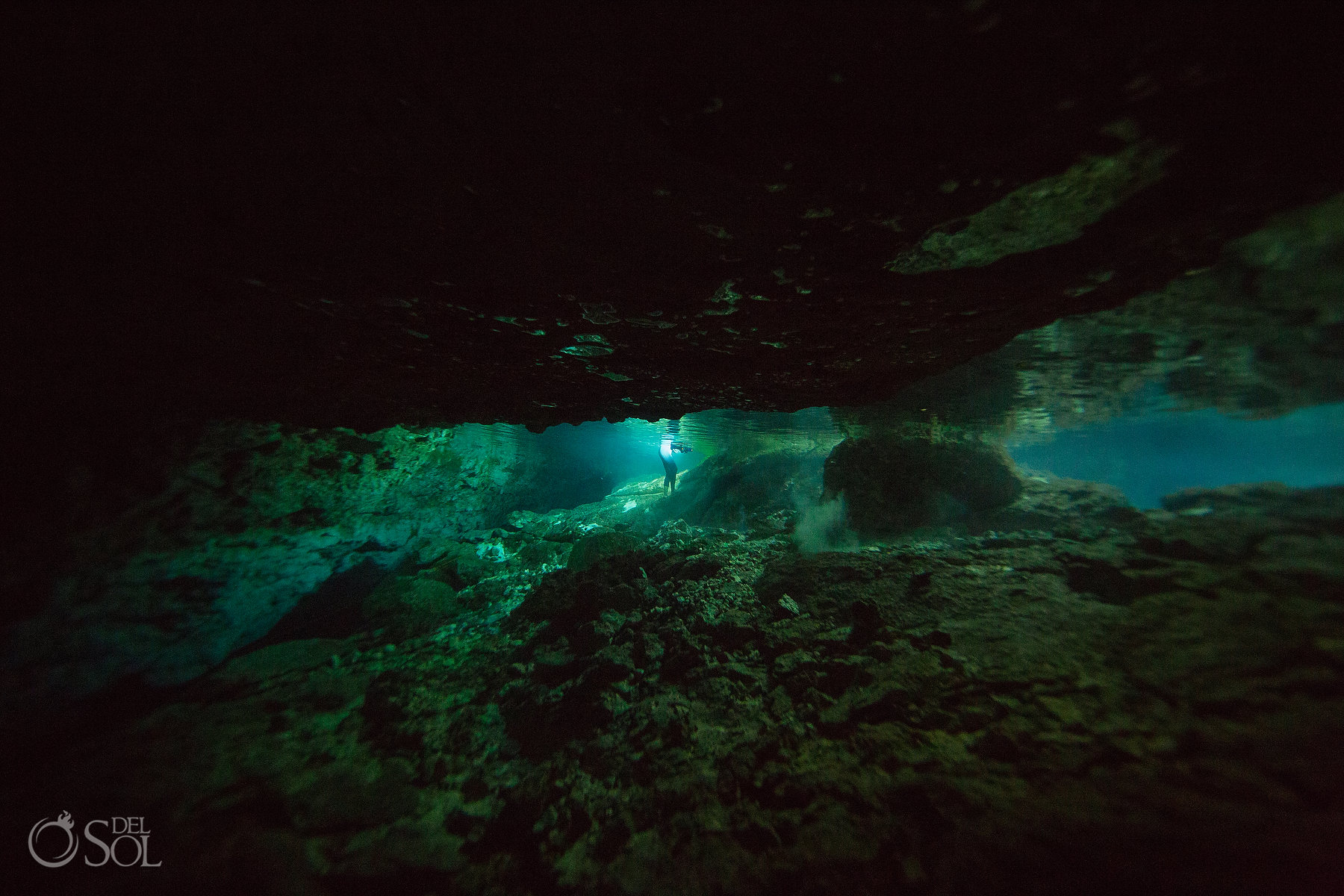 underwater photography riviera maya cenote photo session