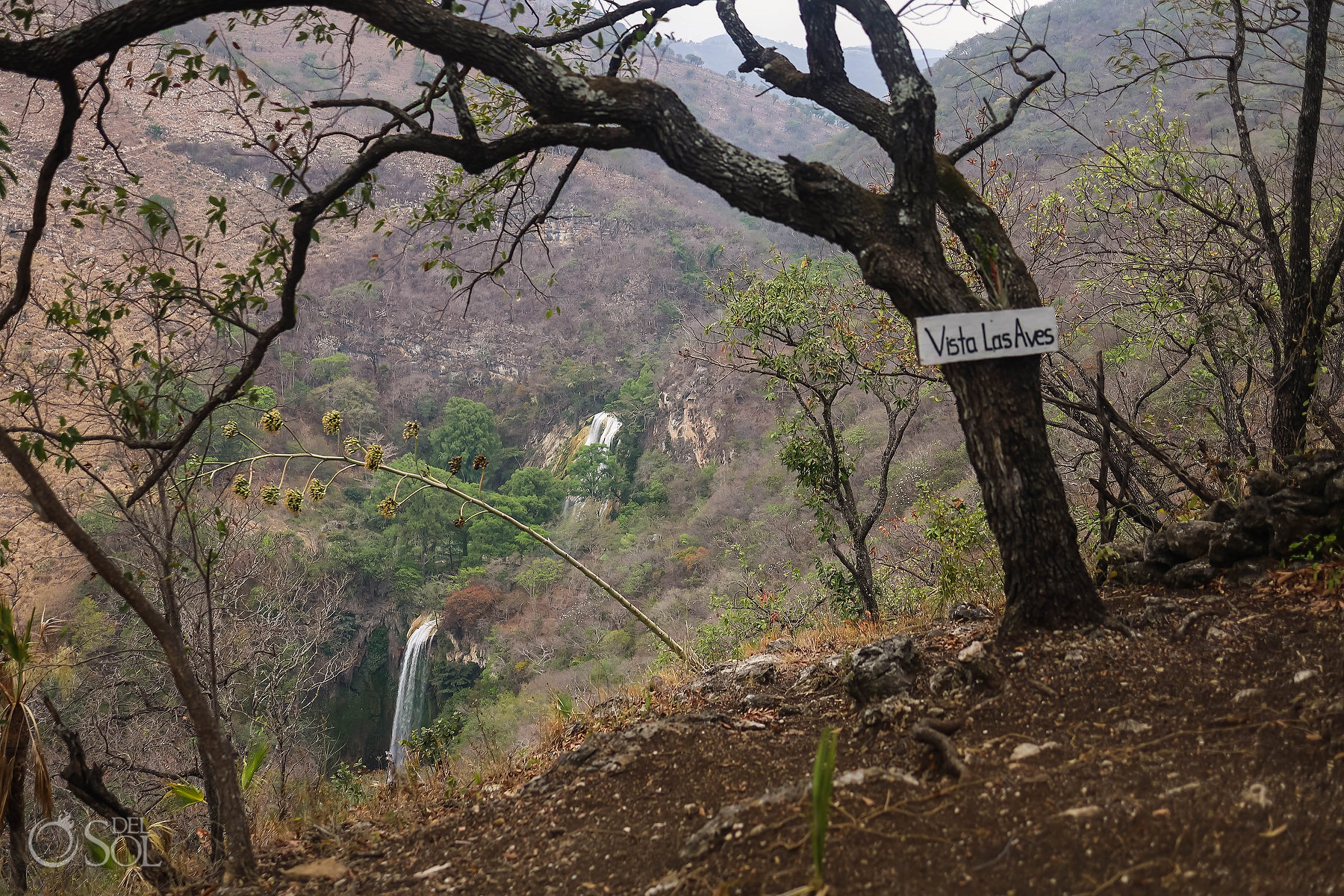 vista las aves hunting for waterfalls in Chiapas Mexico Photo adventure