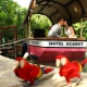 Scarlet Macaw Hotel Xcaret honeymoon adventure