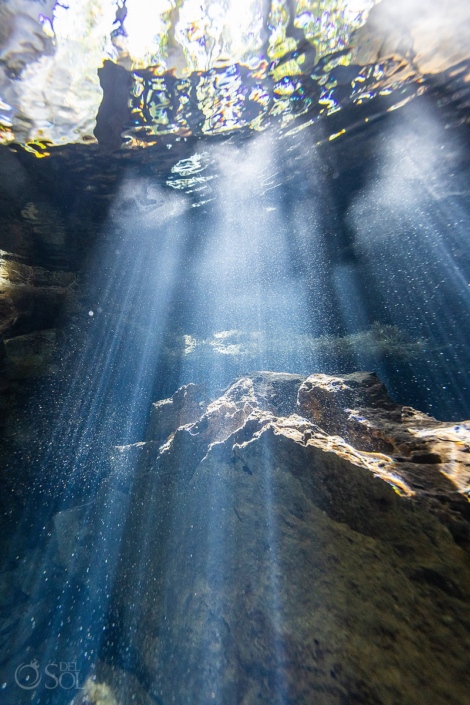 underwater photography riviera maya cenotes