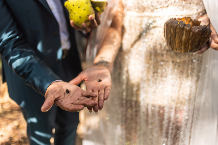 Planting seeds Mayan wedding cenote ceremony -