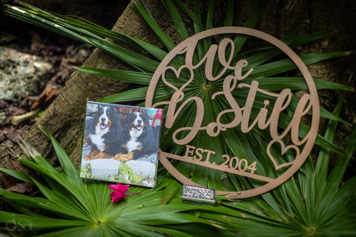 20 year cenote vow renewal in Mexico tribute to family dogs with a We do still sign