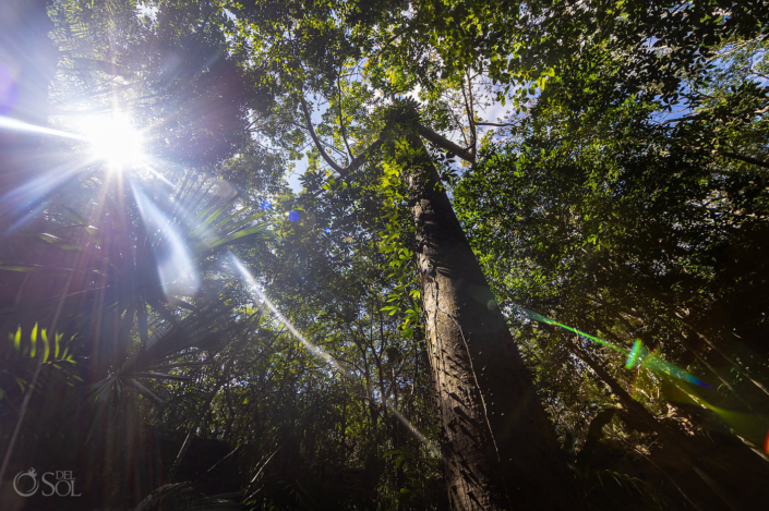 Tulum jungle cenote wedding venue for spiritual Jewish elopement ceremony