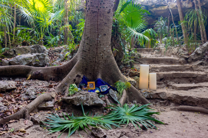 altar with personal items and photos in frames at the base of the sacred ceiba tree