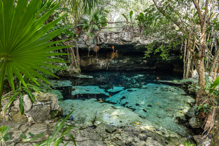 Crystal blue cenote surrounded by jungle in Riviera Maya Mexico