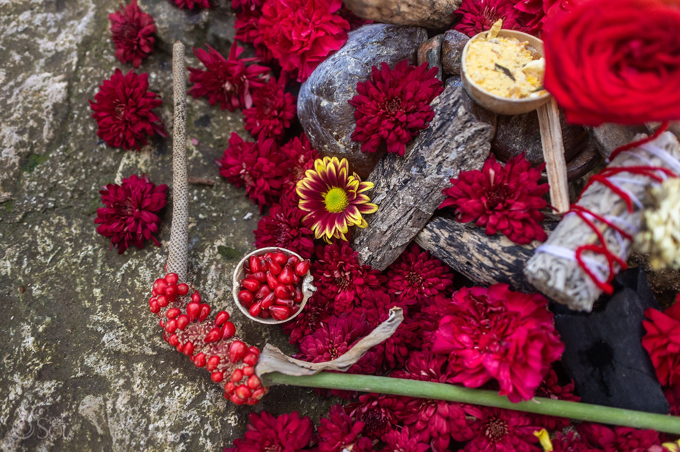 Red flowers and Red seed pods in the jungle used for a 50-seed ritual during an intimate cenote wedding in Mexico