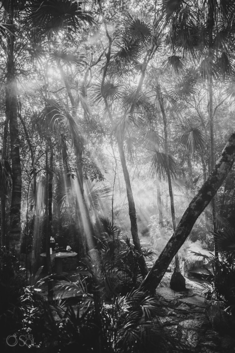 Sunbeams breaking through the jungle during a private cenote wedding in the Riviera Maya