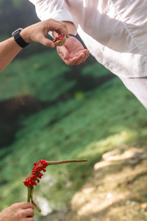 Couple planting symbolic seeds during their wedding ceremony after answering 50 questions before marriage