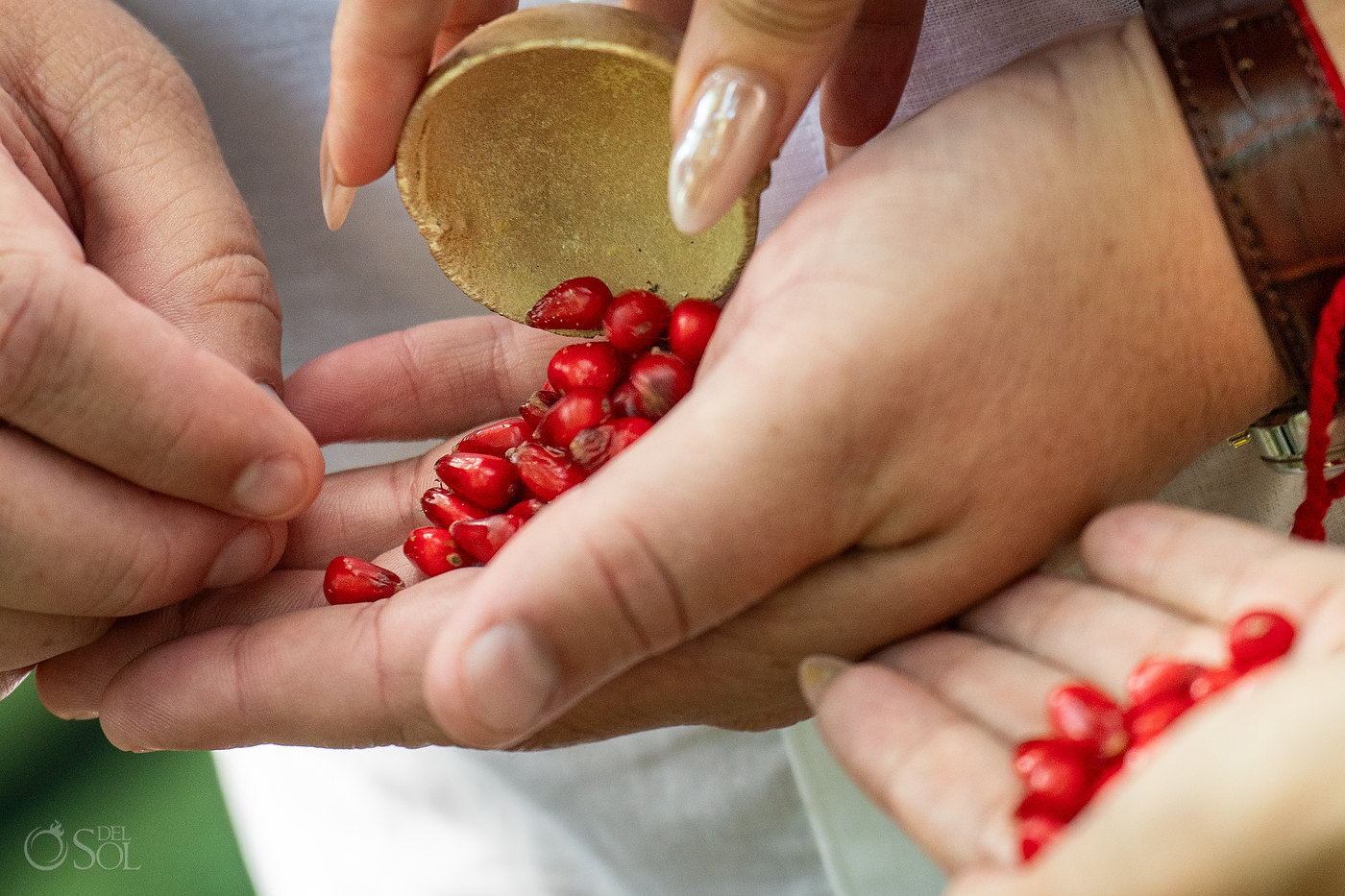 Fifty red seeds representing fifty questions before marriage during an intentional cenote wedding in Mexico